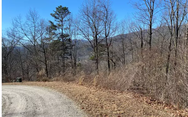 LOT42 Valley River Walk, Marble, NC 28905