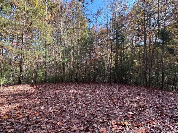 TBD Atoah Loop, Murphy, NC 28906