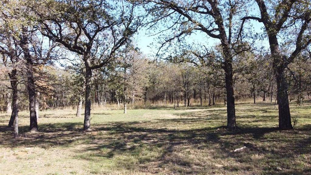 Runaway Bay, TX 76426,196 Johnston Lane