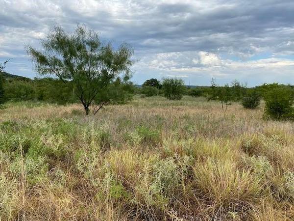 Lot 23 Northern Bobwhite Court, Graford, TX 76449