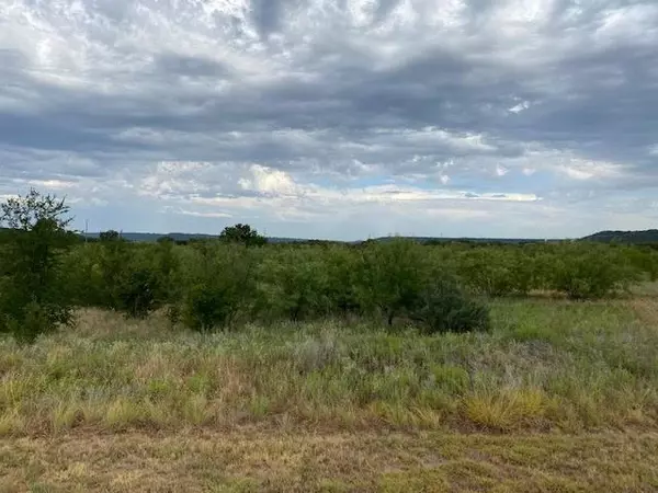 Graford, TX 76449,Lot 23 Northern Bobwhite Court