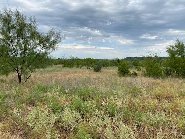 Graford, TX 76449,Lot 23 Northern Bobwhite Court