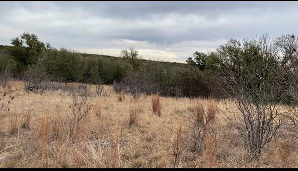 Possum Kingdom Lake, TX 76449,Lot 295 Shooting Star Court