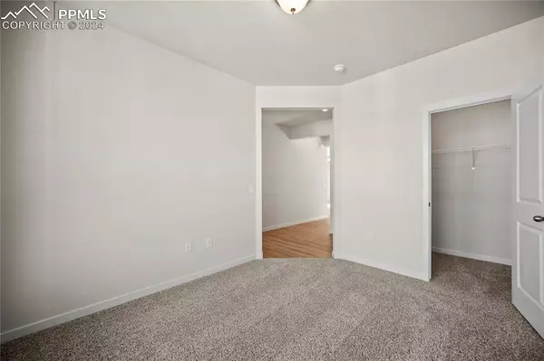 Colorado Springs, CO 80925,11385 Rushpink ST