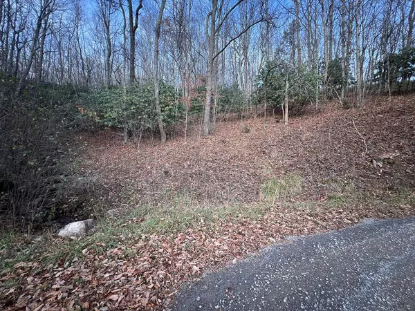 Lot 65 Cove Creek Road, Tazewell, VA 24651