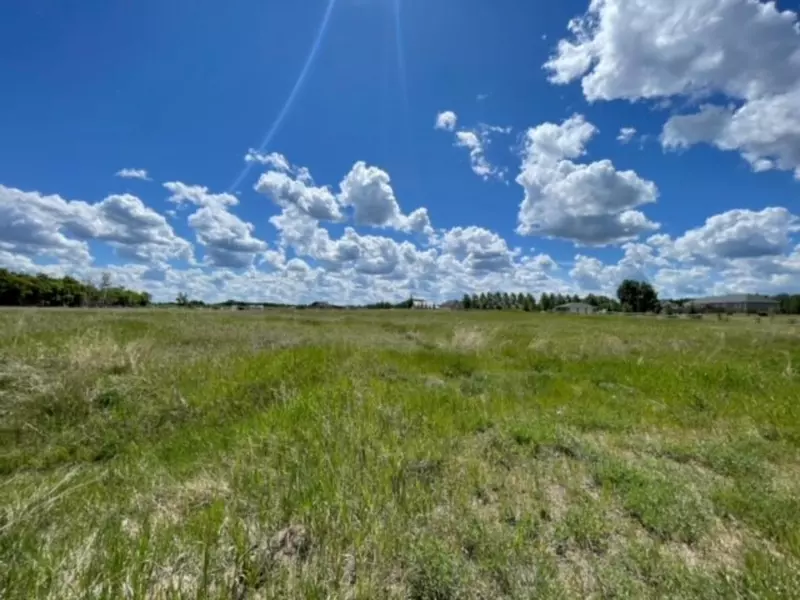 8 Silver Willow Estate, Rural Wainwright No. 61 M.d. Of, AB T9W 1T1