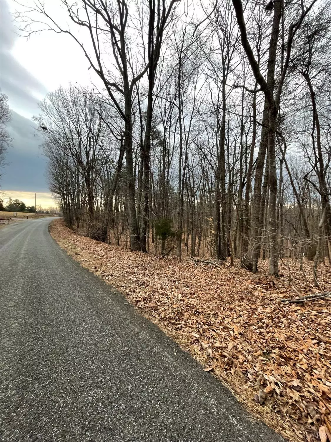 Gladys, VA 24554,0 Swan Creek RD #Tract C