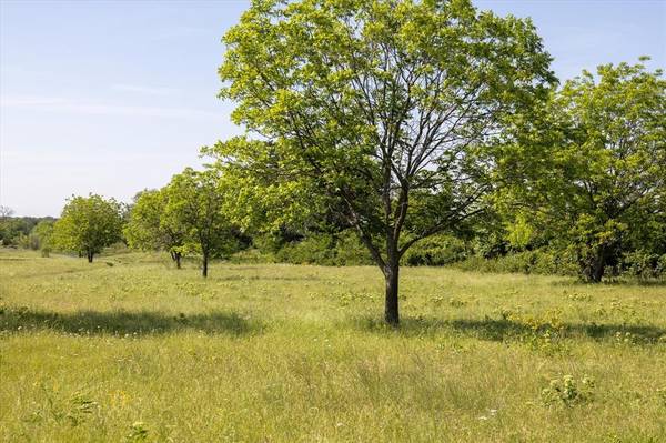 Lipan, TX 76462,11701 Bowden Road