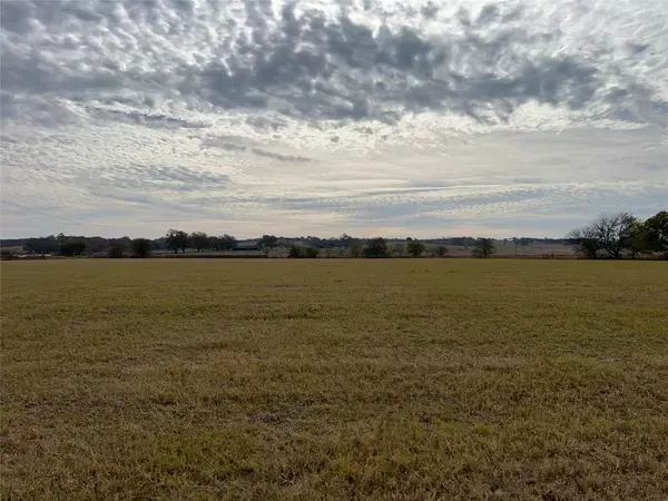 Blooming Grove, TX 76626,TBD FM 2930