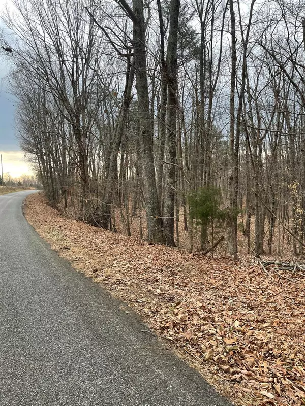 Gladys, VA 24554,0 Swan Creek RD #Tract C