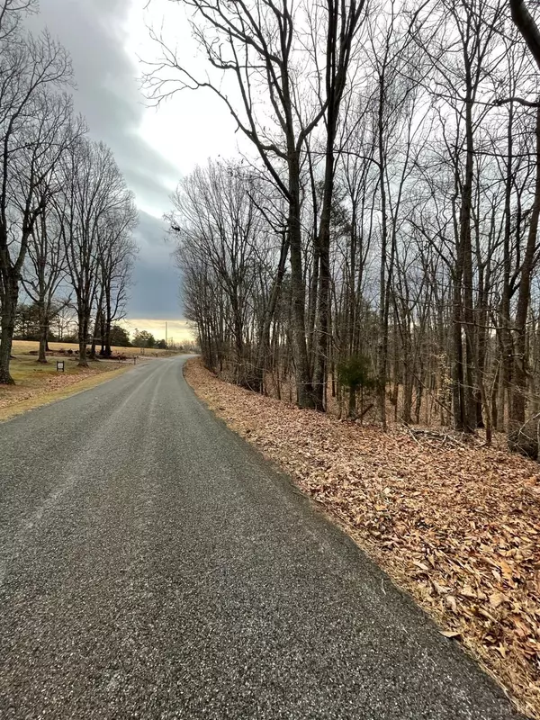 Gladys, VA 24554,0 Swan Creek RD #Tract C