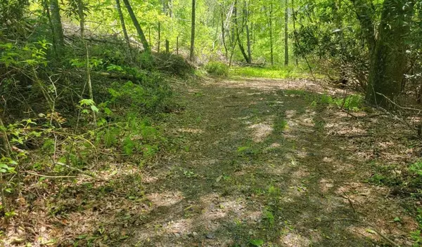 Lot 2&3 River Cove Lane,  Hayesville,  NC 28904