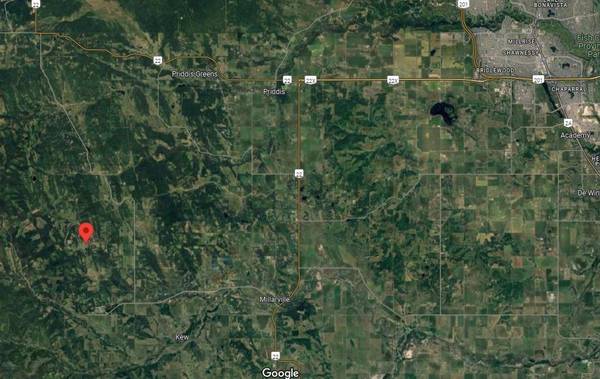 Rural Foothills County, AB T0L1K0,11 Black Bear