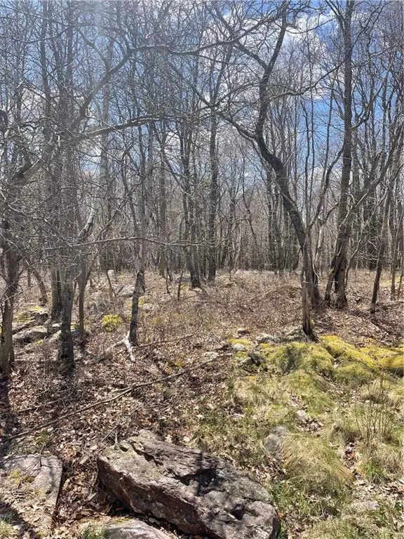 Buck Hill Rd 72, Tunkhannock Township, PA 18610