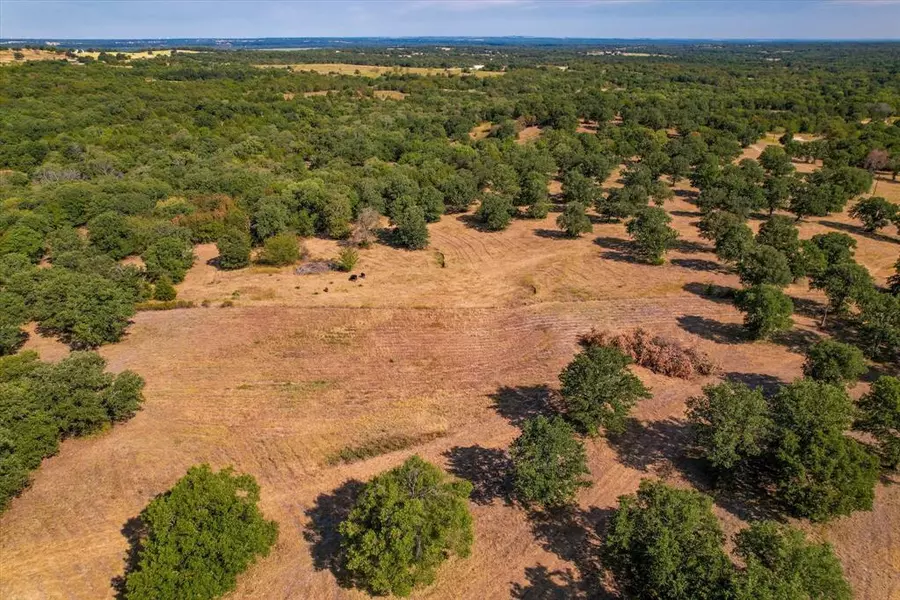 427 FM 2383 #Lot 1, Gainesville, TX 76240