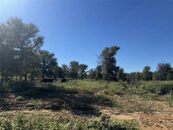 Perrin, TX 76486,15 Fellowship Trail