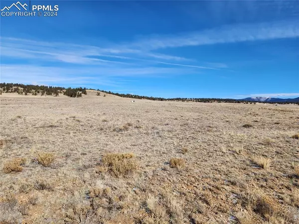 205 Cheyenne TRL, Hartsel, CO 80449