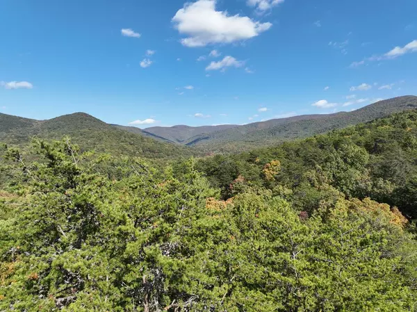 Tract 2 Turniptown Road, Ellijay, GA 30536