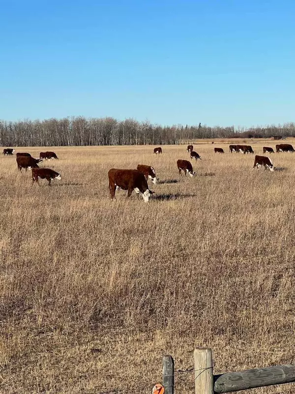 Grande Prairie, AB T0H 0C0,SE-32-71-5-W6 .