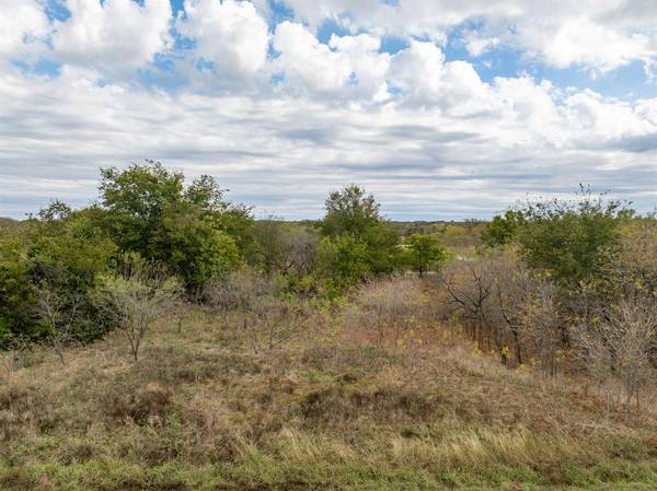 39208 Cross Timber Drive, Whitney, TX 76692