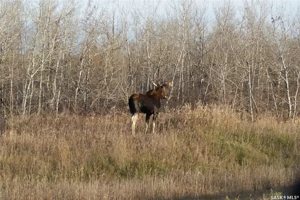 Aberdeen Rm No. 373, SK S0K 0A0,Rural Address