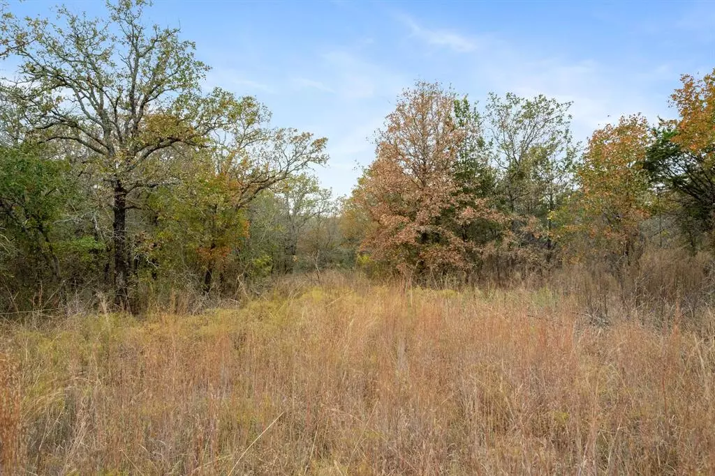 Lipan, TX 76462,TBD Brock Highway