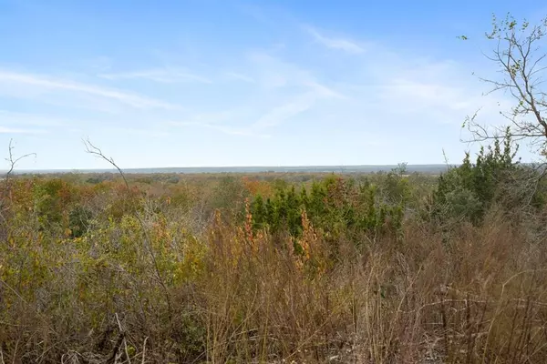 Lipan, TX 76462,TBD Brock Highway