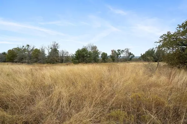 Lipan, TX 76462,TBD Brock Highway