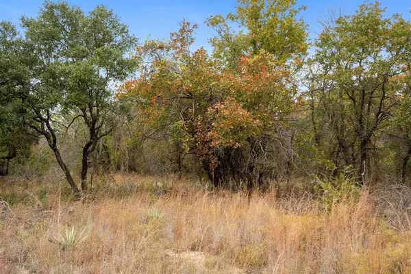 Lipan, TX 76462,TBD Brock Highway