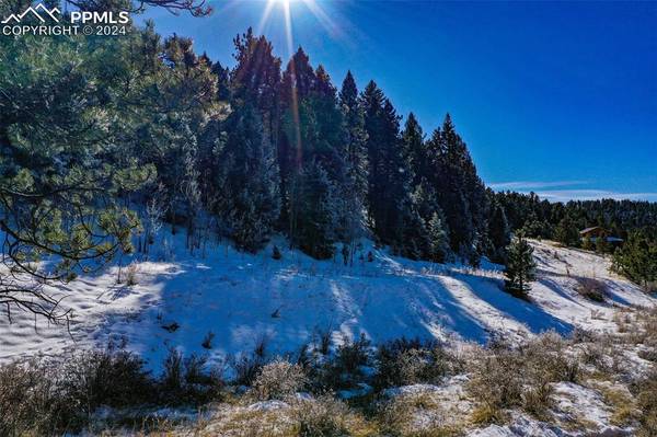 278 Penrose CIR, Cripple Creek, CO 80816