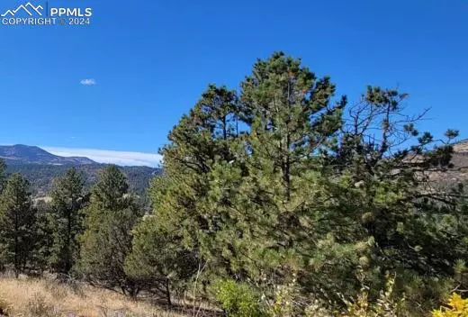 Canon City, CO 81212,308 Sourwood LN