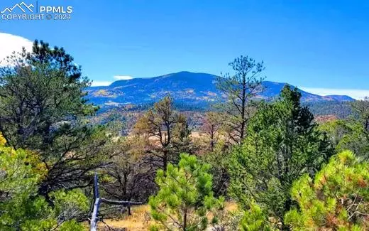 Canon City, CO 81212,308 Sourwood LN