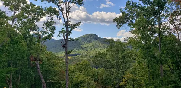 LT17 Mill Ridge Road, Hiawassee, GA 30546