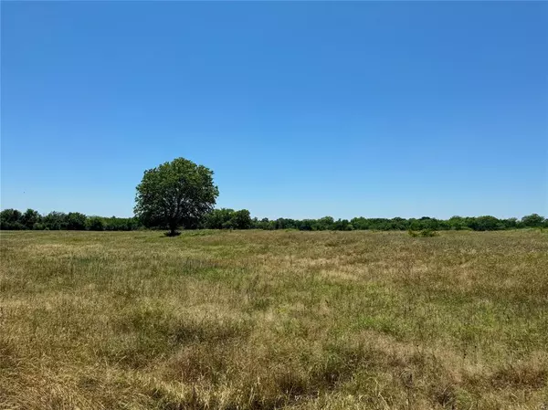 Celeste, TX 75423,Lot 1 FM-903