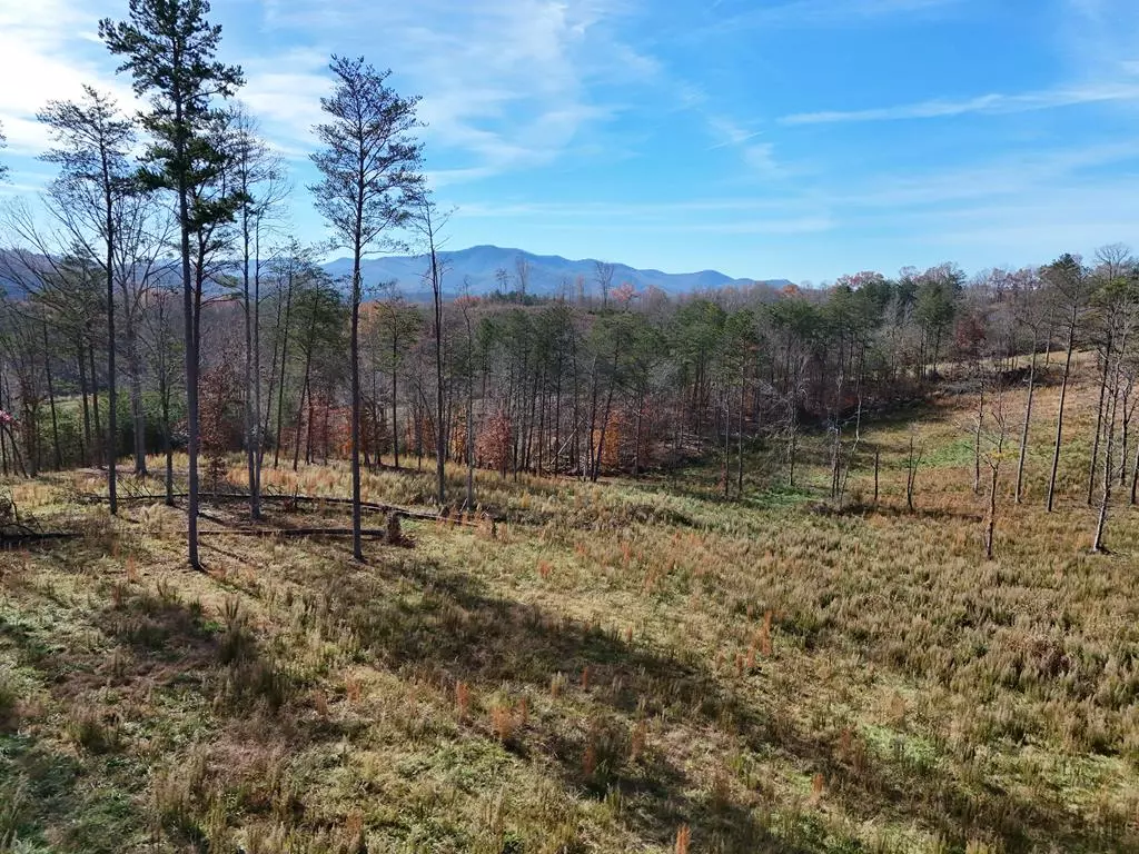 Warne, NC 28909,902 Deitz Cable Road