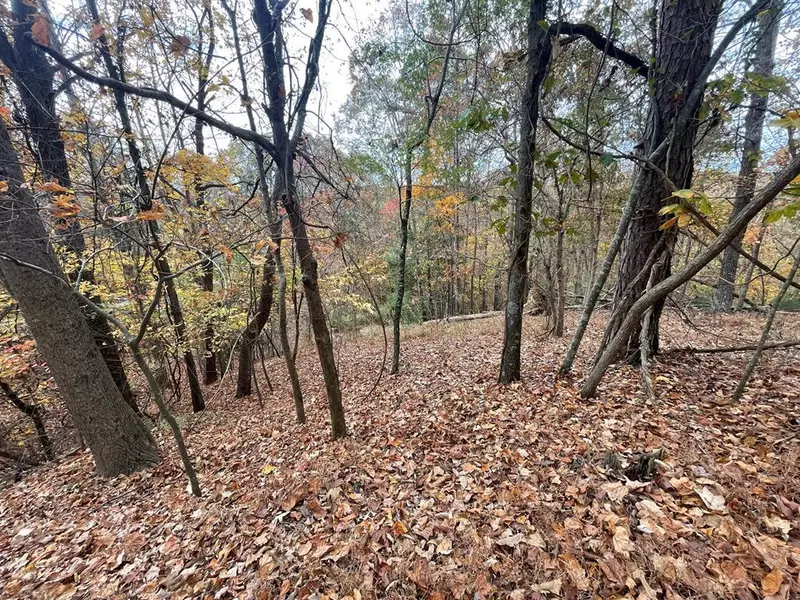 Lot 468 Cherokee Court, Ellijay, GA 30540