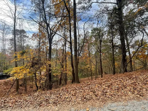 Ellijay, GA 30540,Lot 468 Cherokee Court