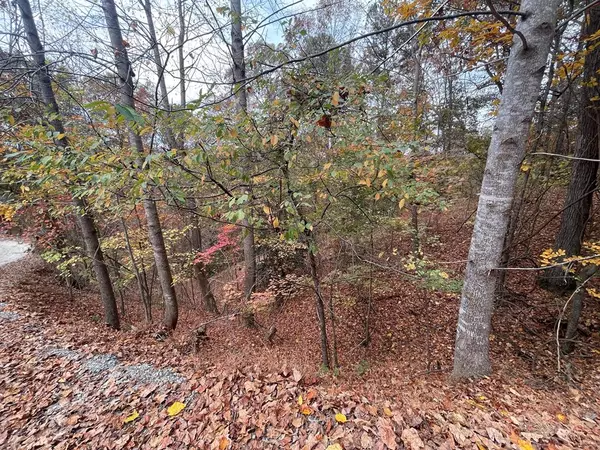 Ellijay, GA 30540,Lot 468 Cherokee Court