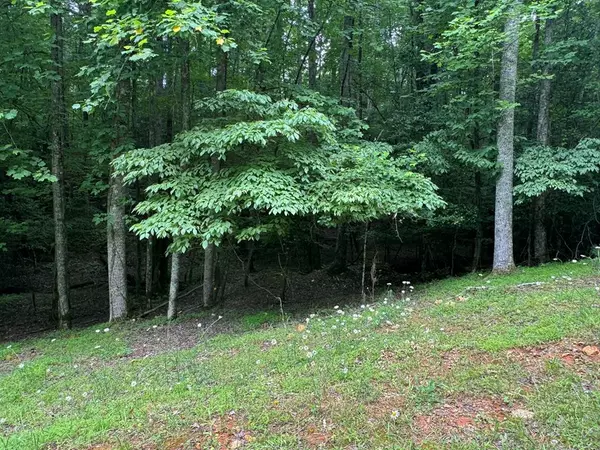 Lot 1721 Newport Drive, Ellijay, GA 30540