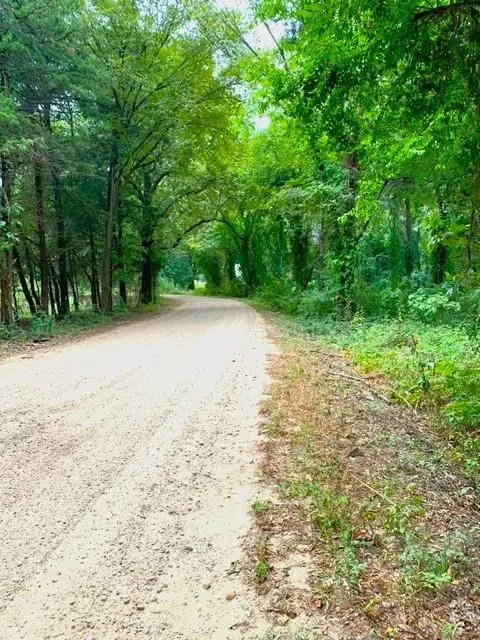 Honey Grove, TX 75446,000 County Rd 2411