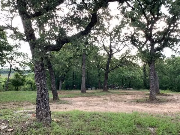 Runaway Bay, TX 76426,Lot 6 & 24 Hogan Place