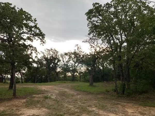 Runaway Bay, TX 76426,Lot 6 & 24 Hogan Place