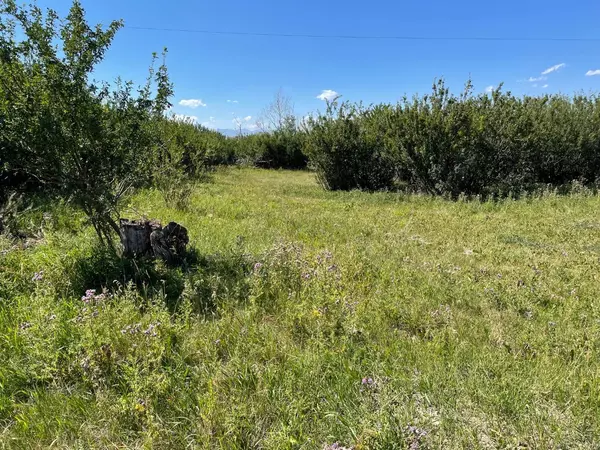 Rural Cardston County, AB T0K 0K0,TWP Rd 30