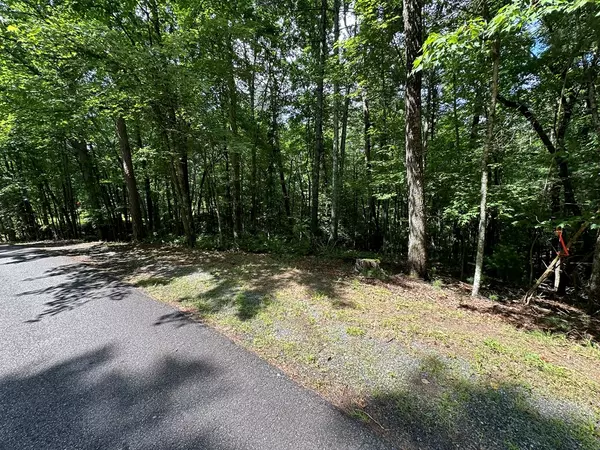 Ellijay, GA 30540,Lot 305 Seneca Dr