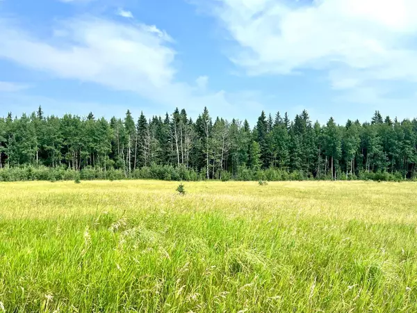 Rural Clearwater County, AB T0M 1H0,on Hwy 761