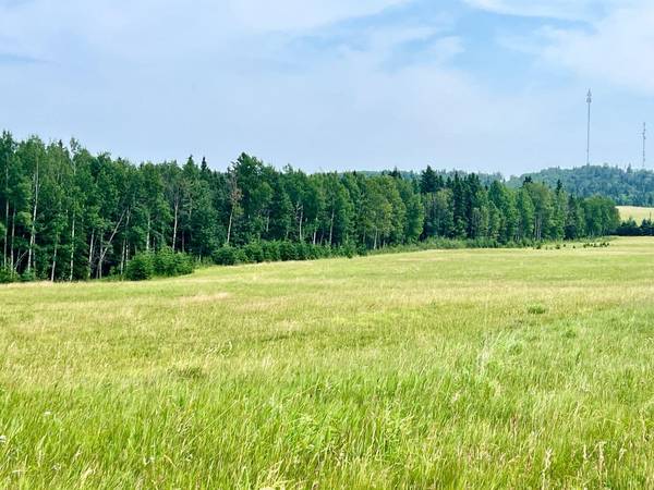 Rural Clearwater County, AB T0M 1H0,on Hwy 761