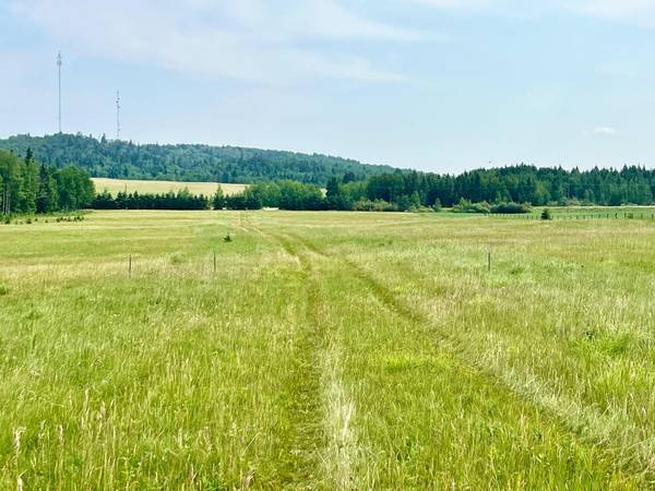 Rural Clearwater County, AB T0M 1H0,on Hwy 761