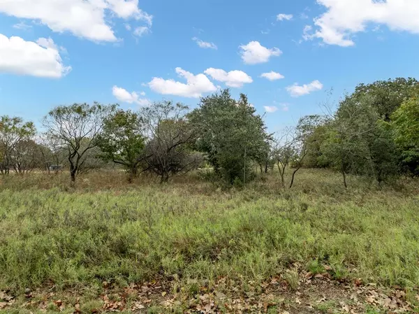 24171 Stonewood Drive, Whitney, TX 76692