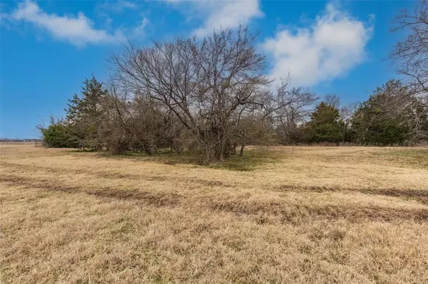 Lone Oak, TX 75453,LOT 12 TBD County Rd 3525