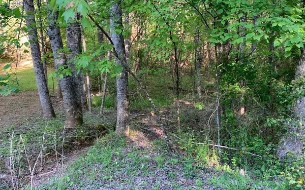 LOT # Hunter Valley Road, Murphy, NC 28906